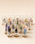 25-Piece Curated Mineral & Crystal Display Collection